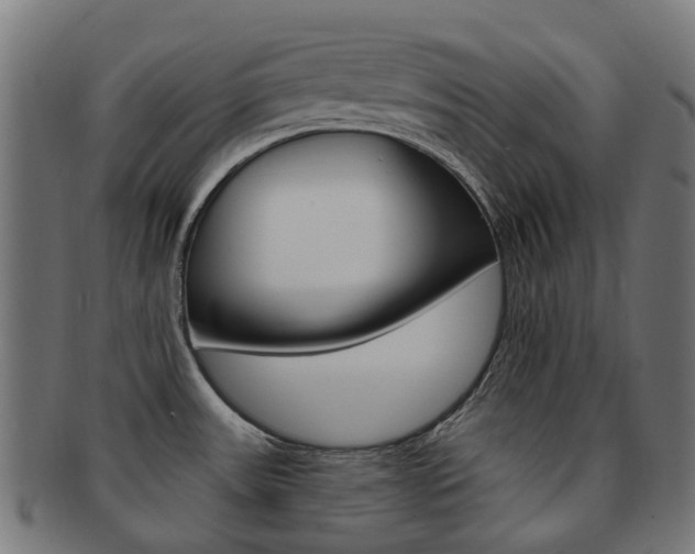 X0000092031531200709061340