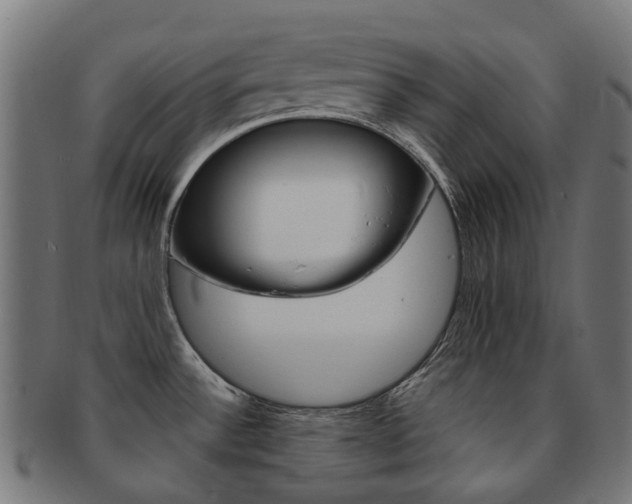 X0000092031532200709061340