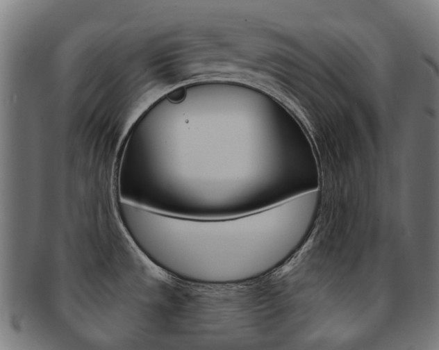 X0000092031533200709061340