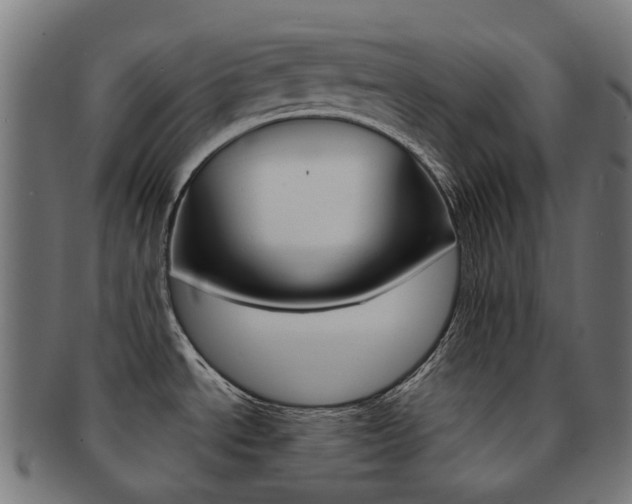 X0000092031534200709061340