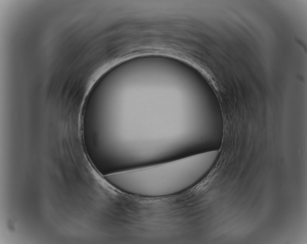 X0000092031535200709061340
