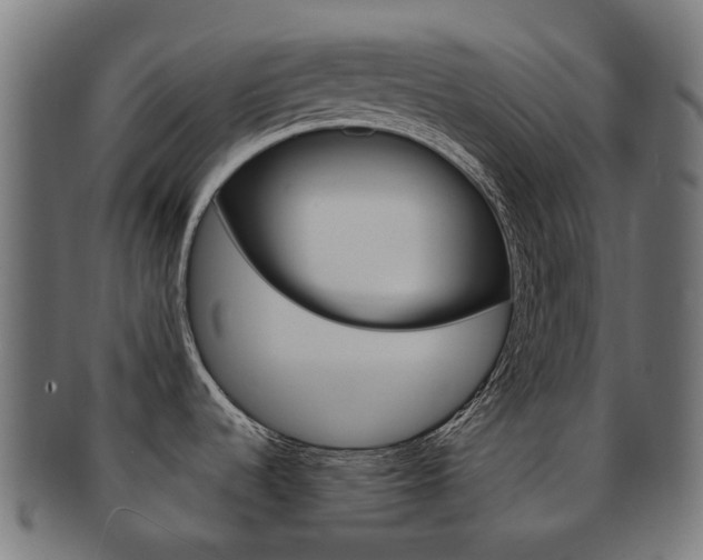 X0000092031536200709061340