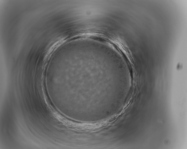 X0000092030001200709061624