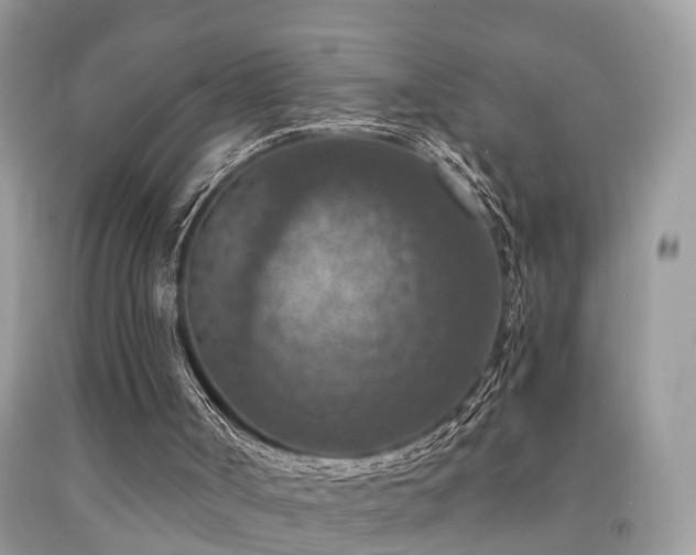 X0000092030002200709061624