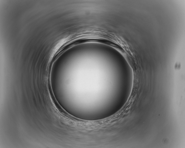 X0000092030003200709061624