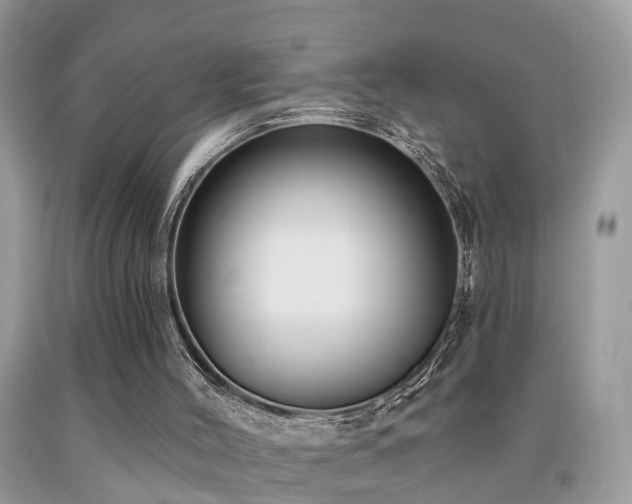 X0000092030004200709061624