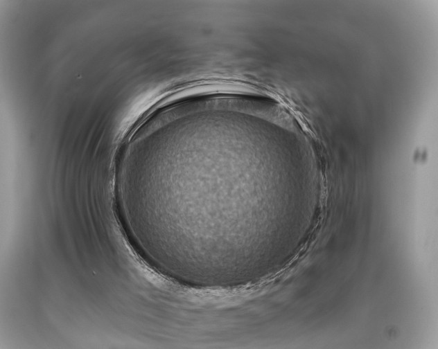 X0000092030005200709061624