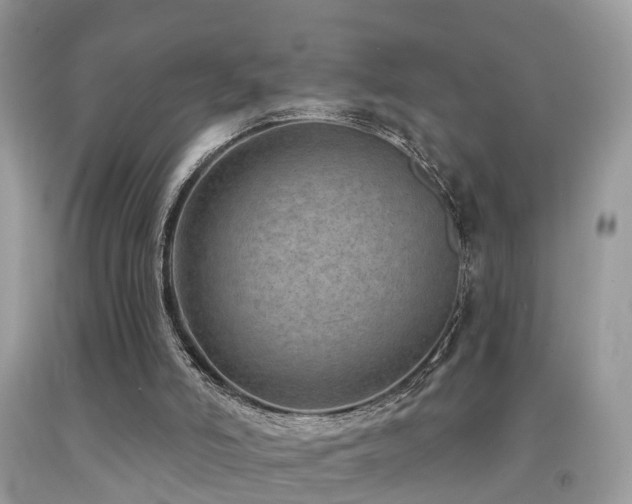 X0000092030006200709061624