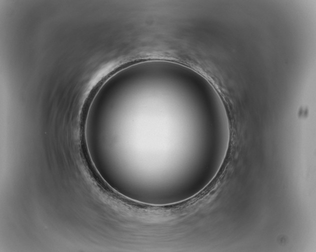 X0000092030008200709061624