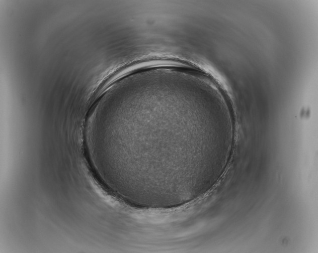 X0000092030009200709061624