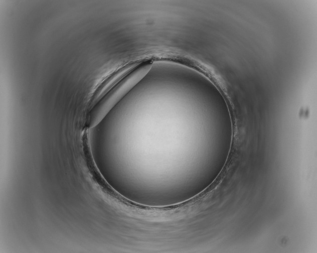 X0000092030010200709061624