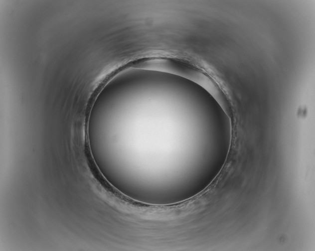 X0000092030011200709061624