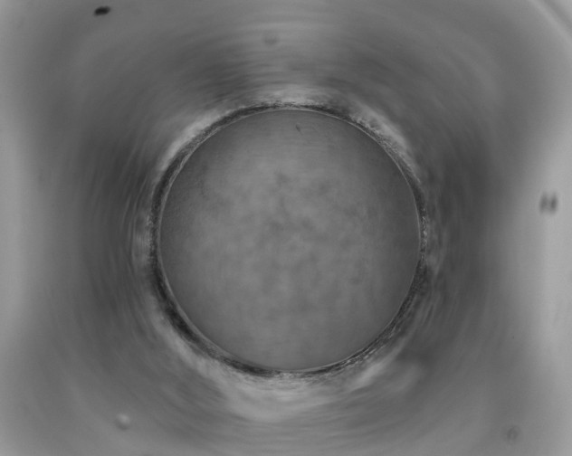 X0000092030012200709061624