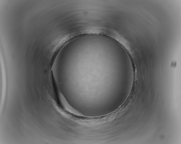 X0000092030013200709061624