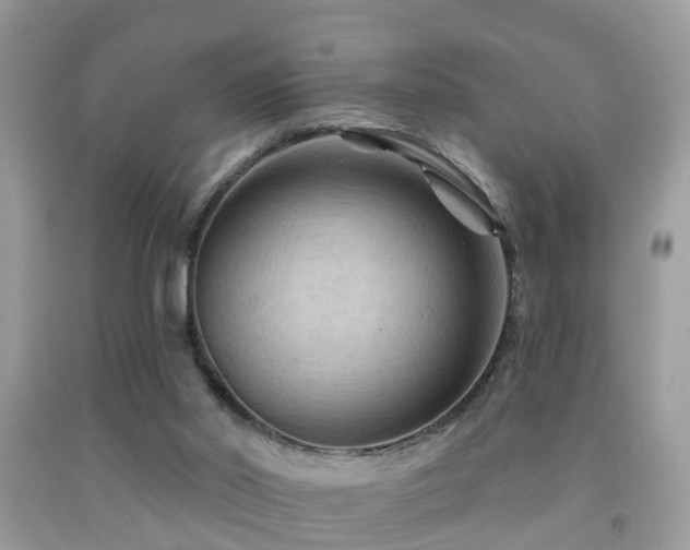 X0000092030014200709061624