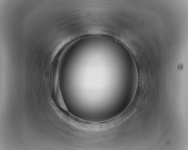 X0000092030015200709061624