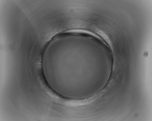 X0000092030017200709061624