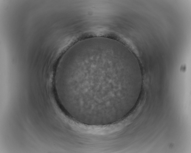 X0000092030018200709061624