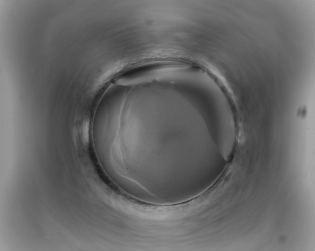 X0000092030019200709061624