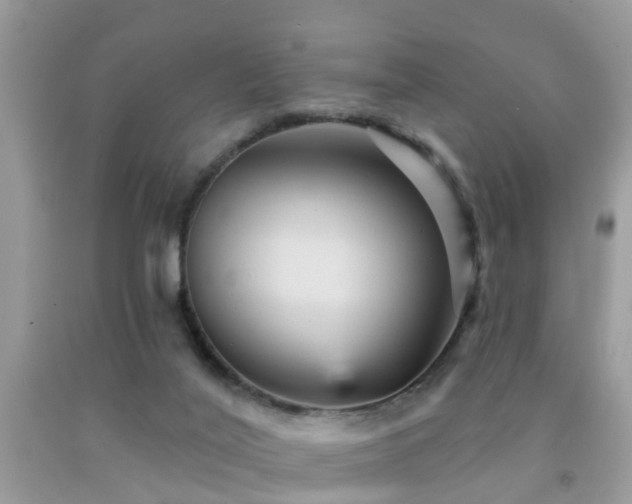 X0000092030020200709061624
