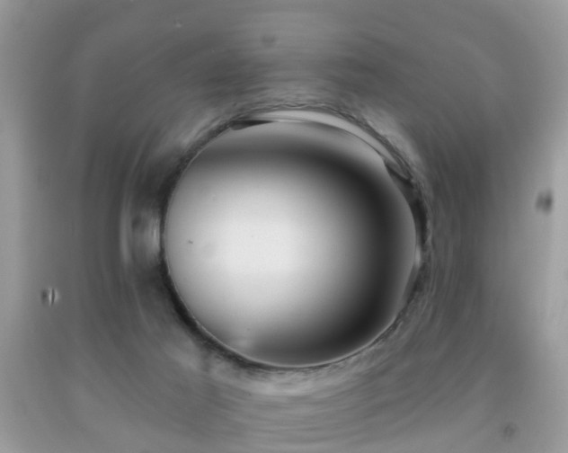 X0000092030021200709061624