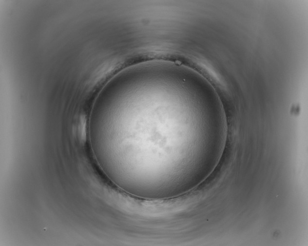 X0000092030022200709061624