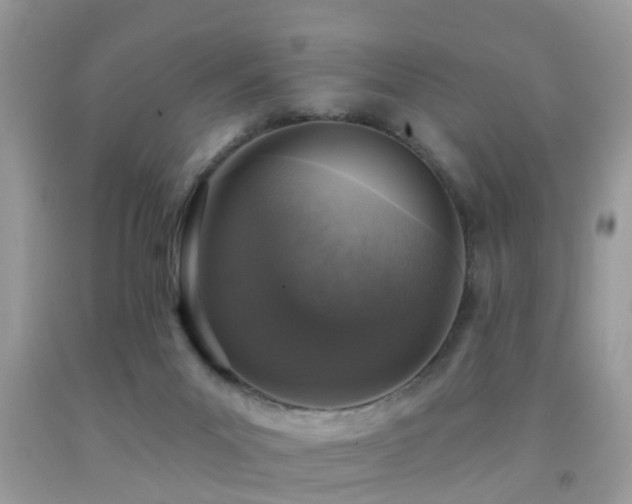 X0000092030023200709061624