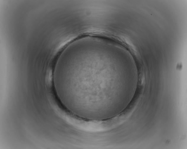 X0000092030024200709061624
