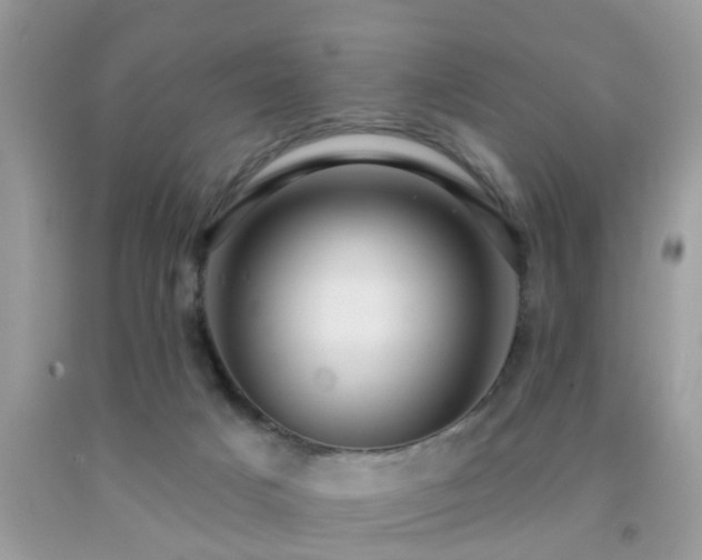 X0000092030025200709061624