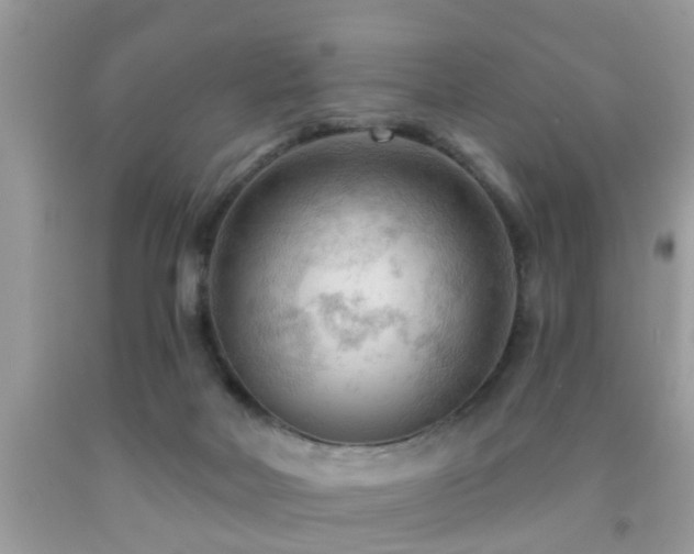 X0000092030026200709061624
