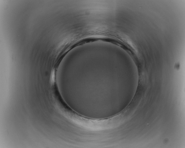 X0000092030027200709061624