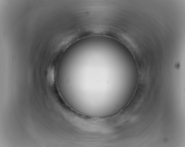 X0000092030028200709061624