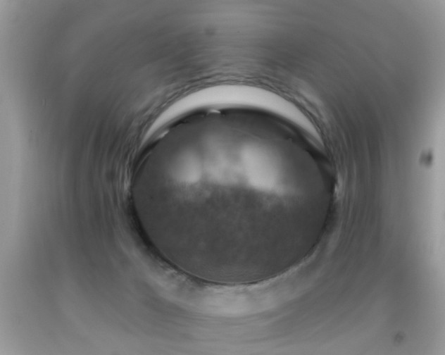 X0000092030029200709061624