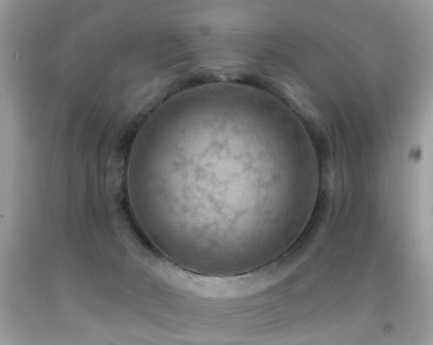 X0000092030030200709061624