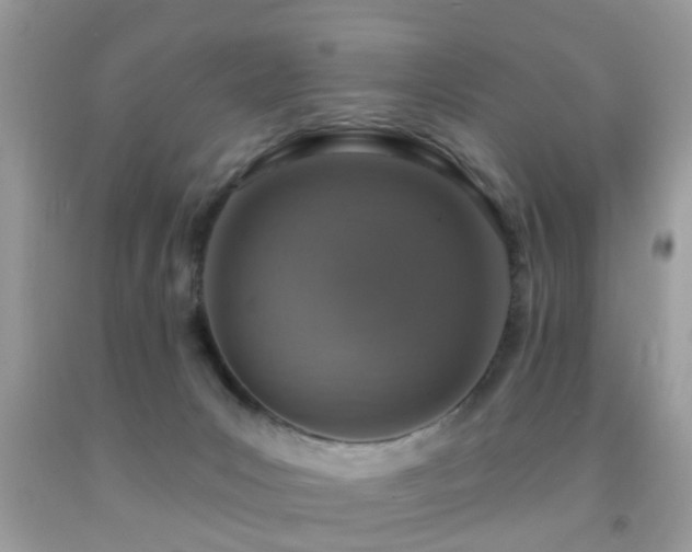 X0000092030031200709061624