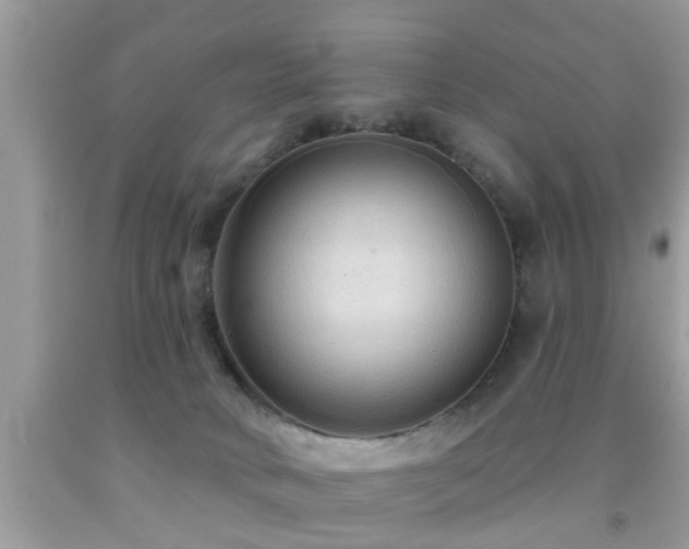 X0000092030034200709061624