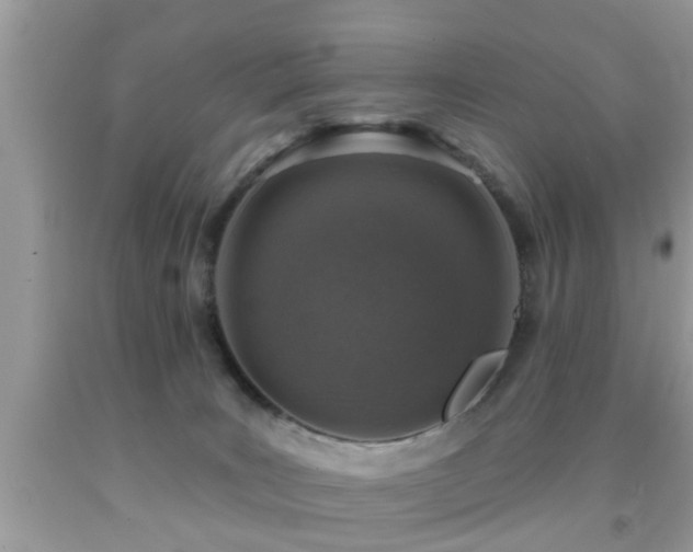 X0000092030035200709061624