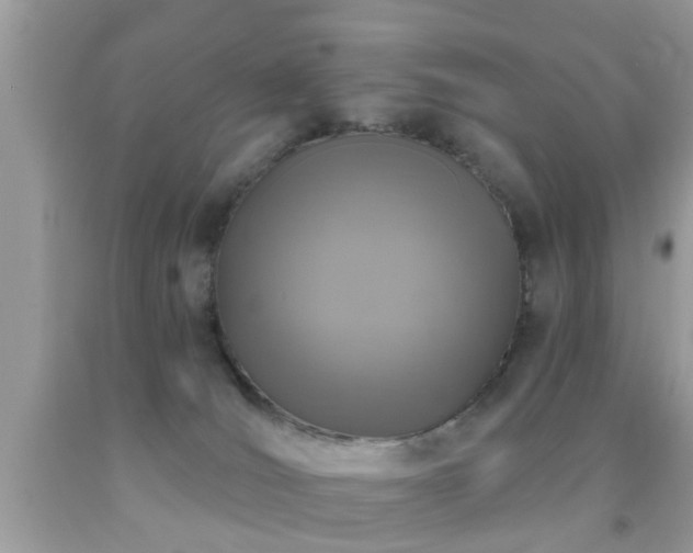 X0000092030036200709061624