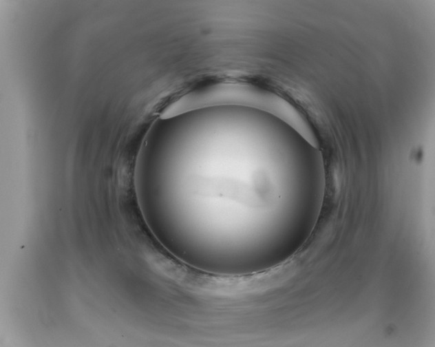 X0000092030037200709061624