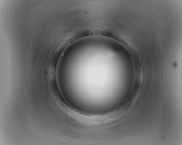 X0000092030038200709061624