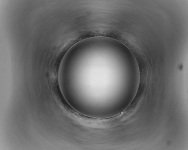 X0000092030040200709061624
