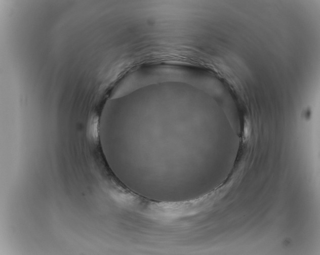 X0000092030041200709061624
