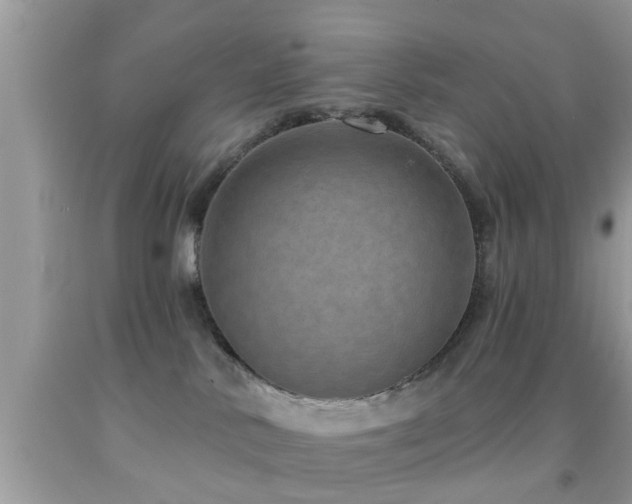 X0000092030042200709061624