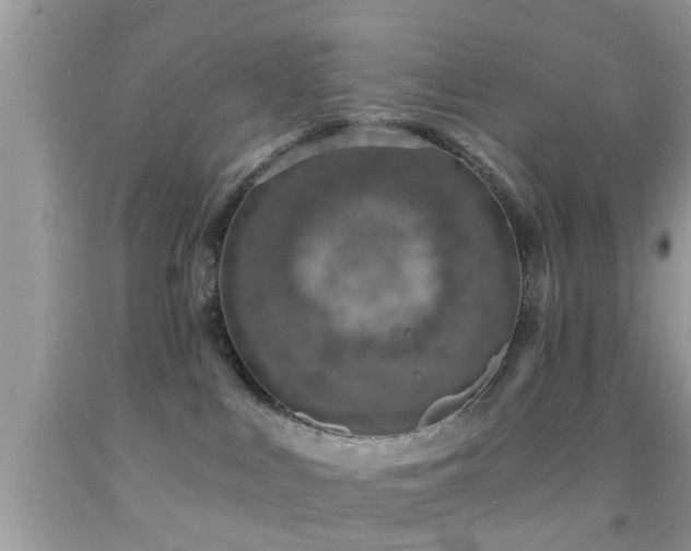 X0000092030043200709061624