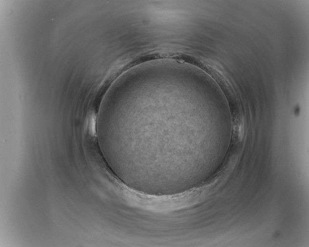 X0000092030046200709061624