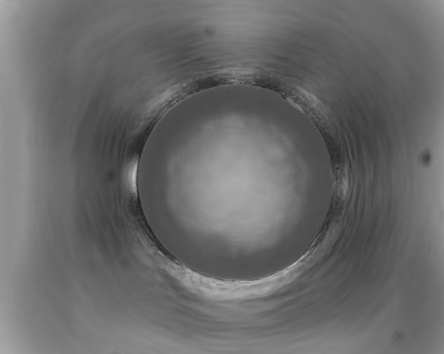 X0000092030047200709061624