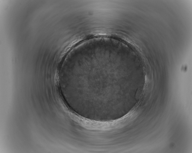 X0000092030048200709061624