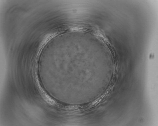 X0000092030049200709061623