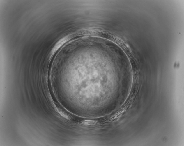 X0000092030051200709061623