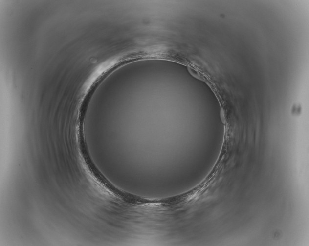 X0000092030054200709061623